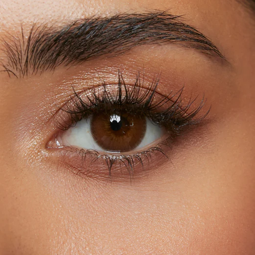 Sunset Brown (Reusable) - Image 6